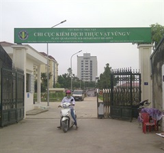 Plant Quarantine Sub-Department Region V